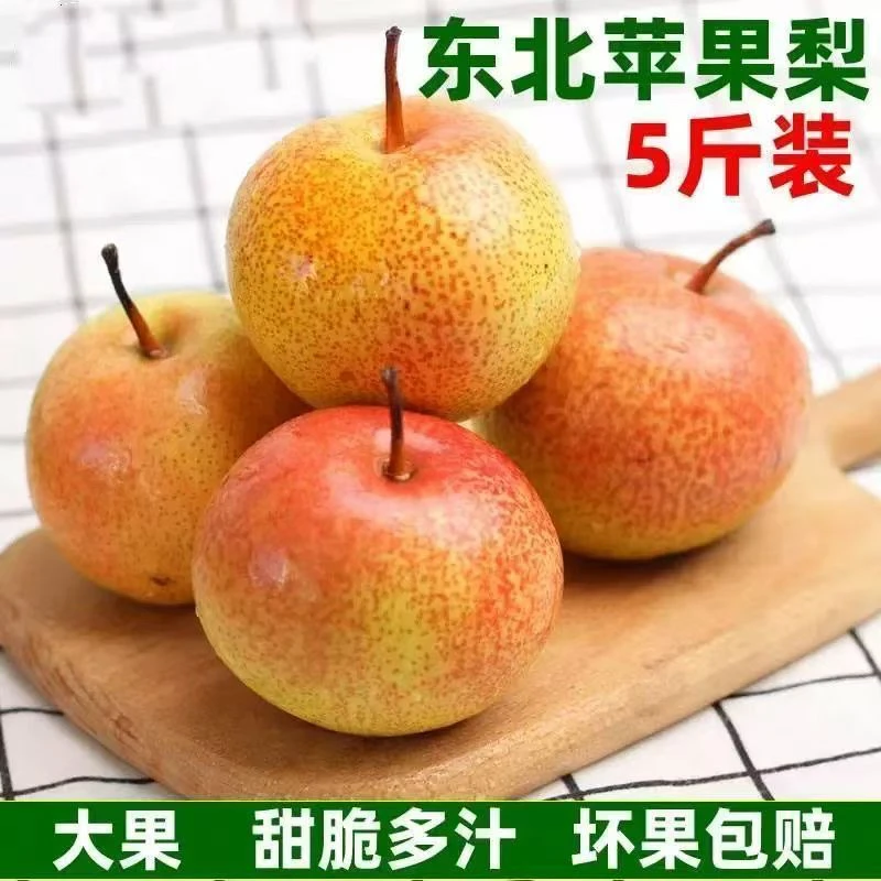 5斤东北苹果梨东北新鲜应季水果酒香甜脆薄皮多汁吉林延边苹果梨