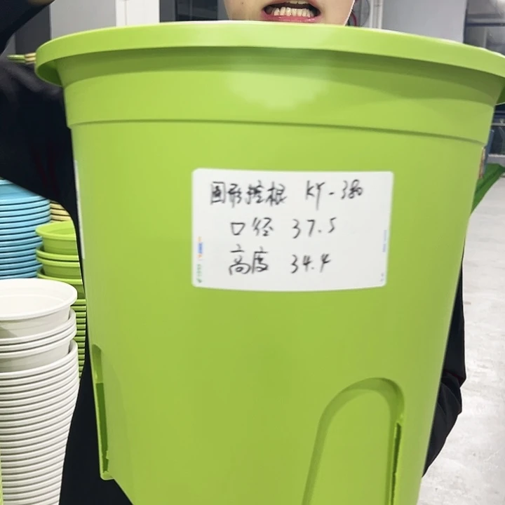 正品圆控口37.5高34果绿色5只无托