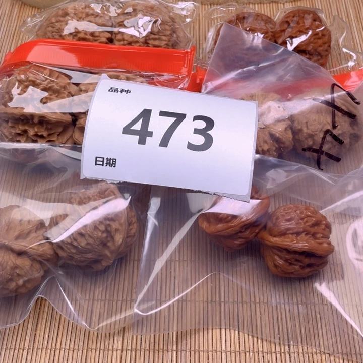 文玩核桃把件473号6对