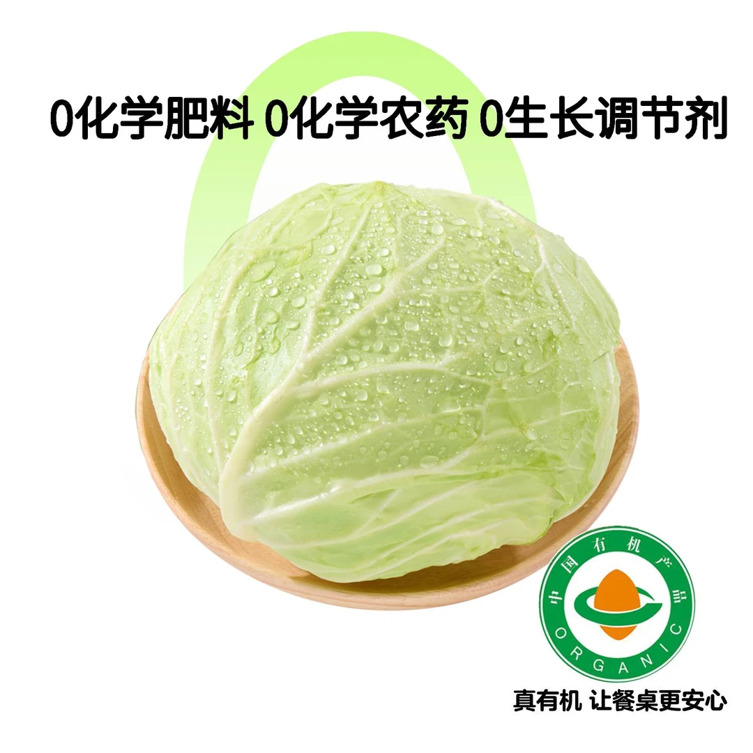 有机水果甘蓝 500g/份