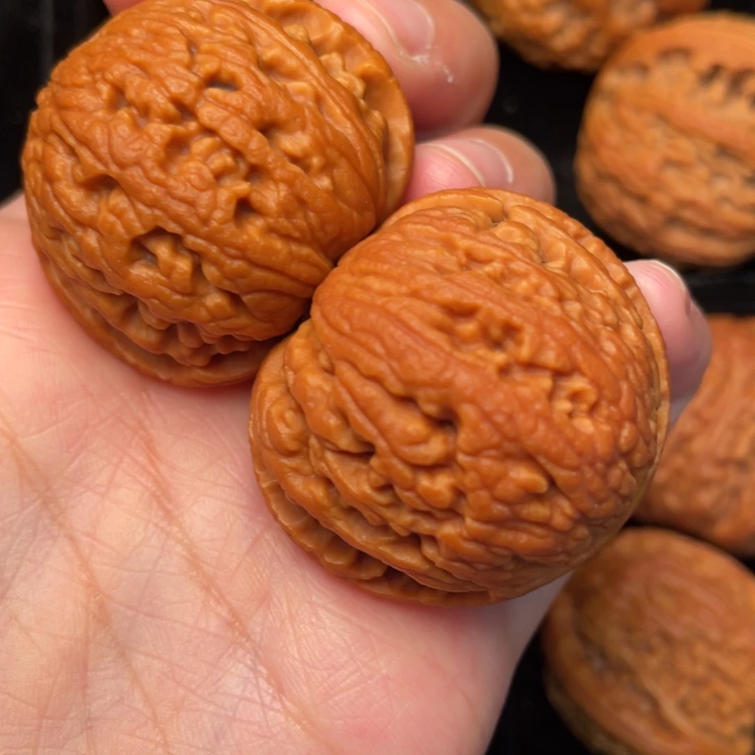 秦岭野生文玩核桃