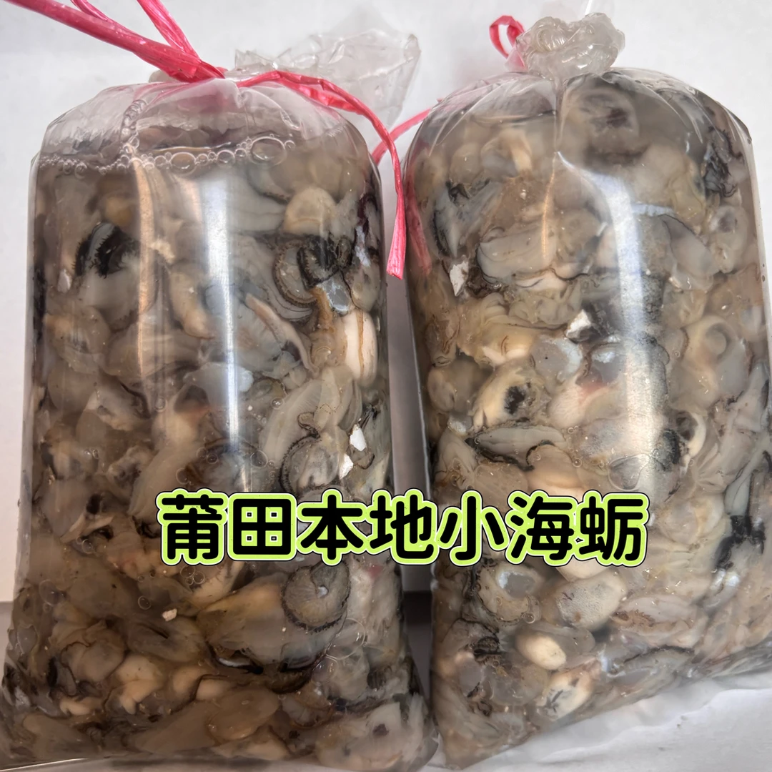 莆田本地小海蛎鲜甜美味现撬现发新鲜不泡水