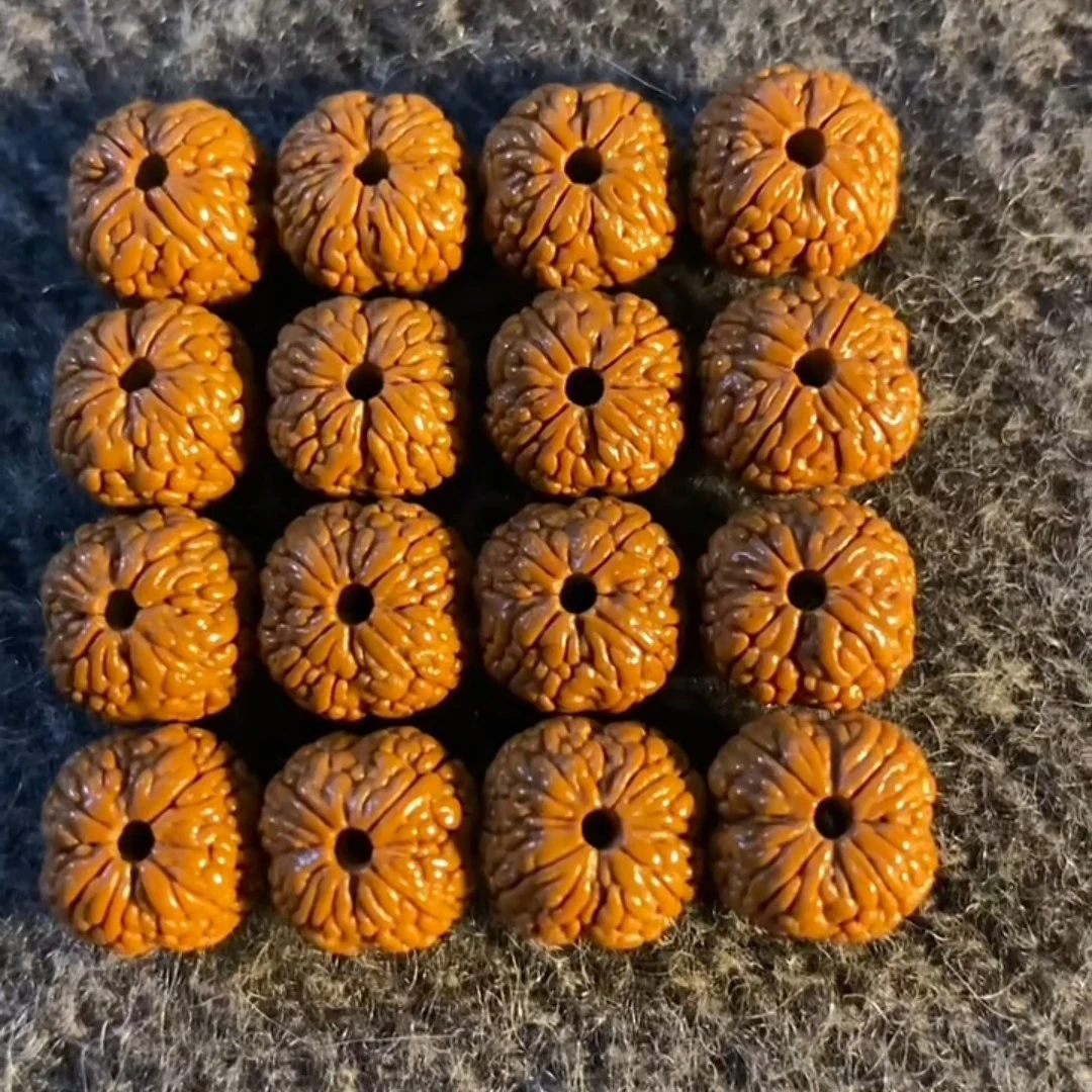 四掰龙鳞王小金刚货头