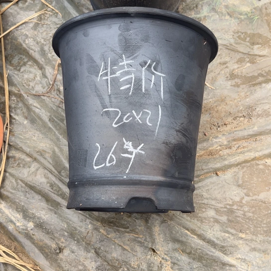 特价直筒口径20高度21