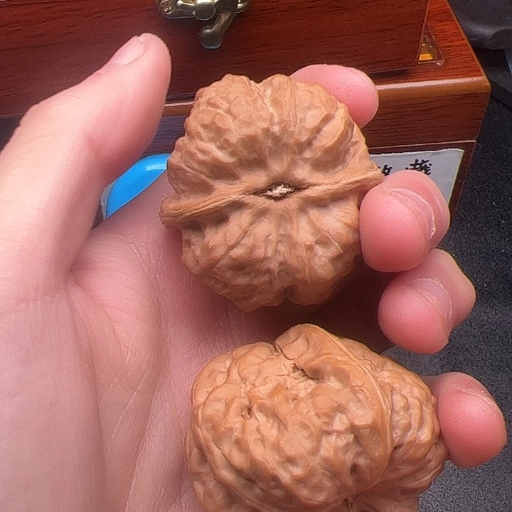 y***45555555555558885586