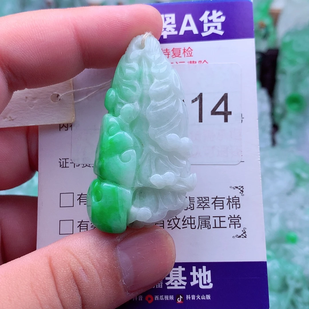 翡翠未镶嵌吊坠(不含链)
