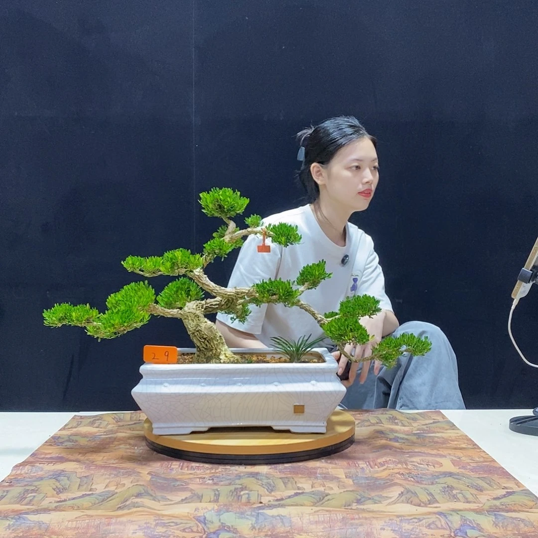 无花朵直播间实物一物一拍