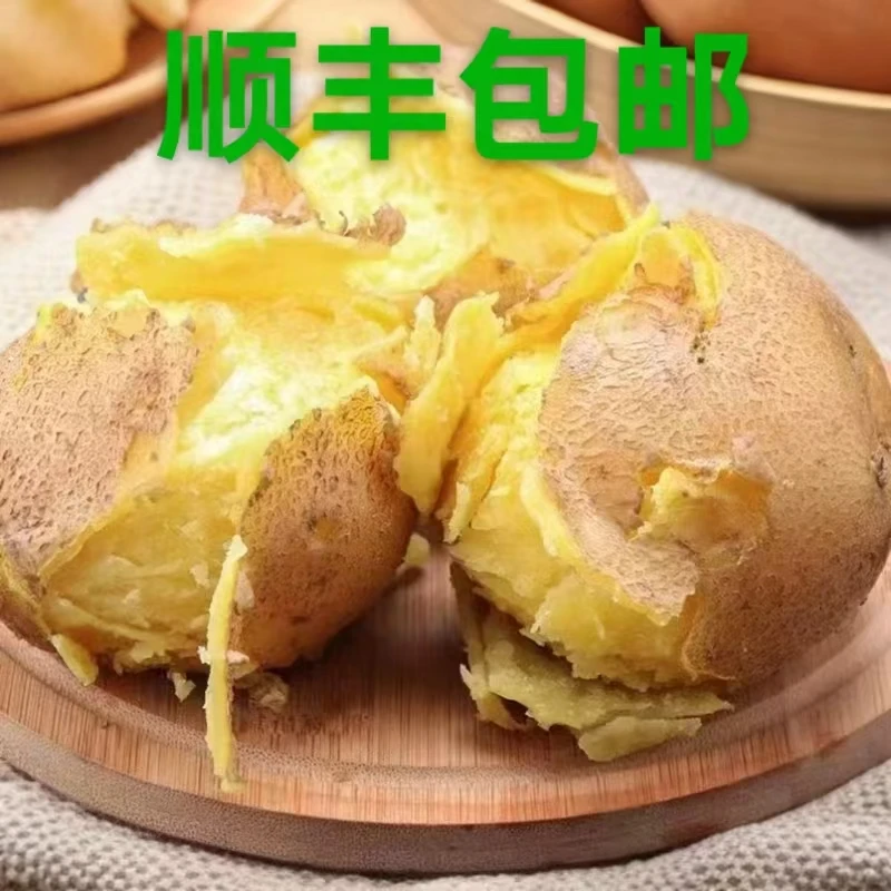 2025甘肃定西高山土豆黄皮黄心食用马铃薯旱地洋芋净重顺丰包邮
