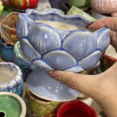 陶瓷D火锅蓝色31611633