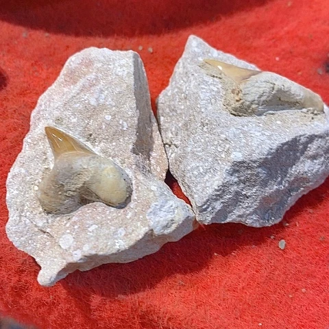 石材家居装修设计风格