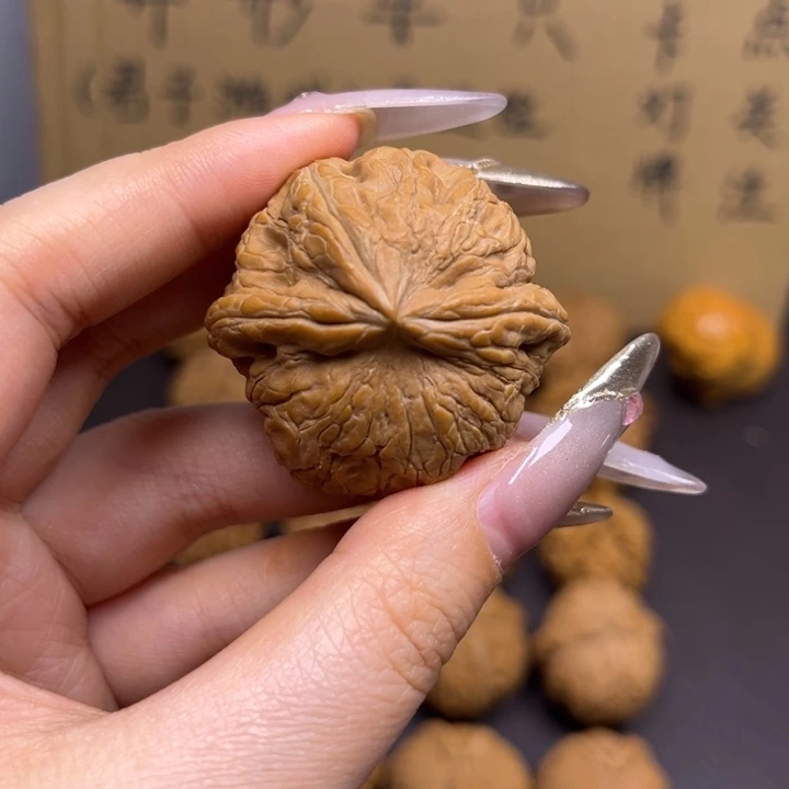 r***f菩提籽类元宝单只异型有瑕