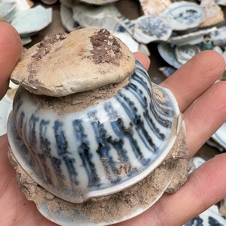 d***o瓷片瓷片标本，顺丰包邮