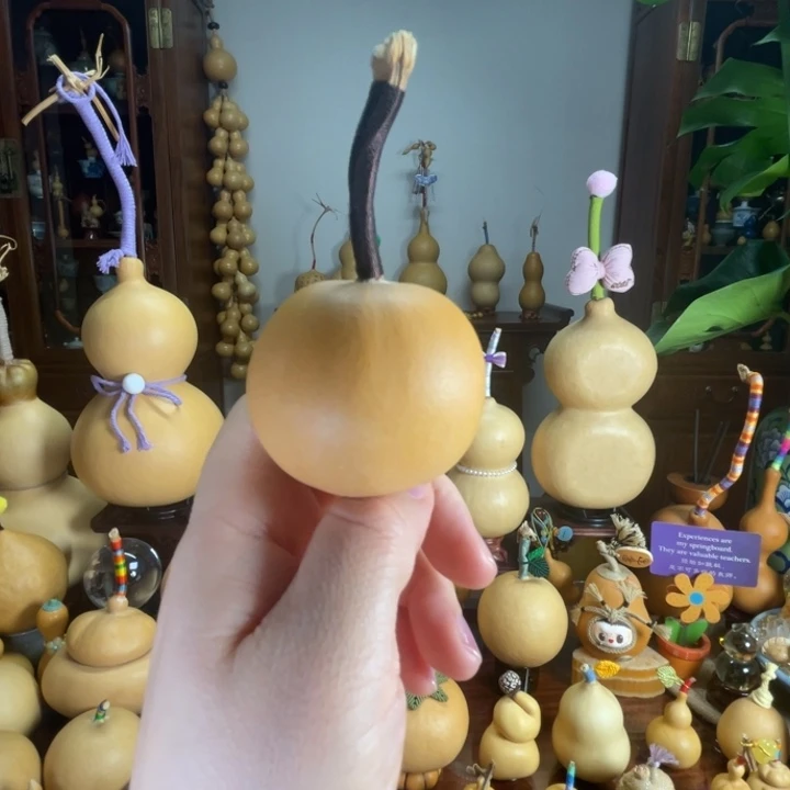 厚皮响籽小苹果葫芦