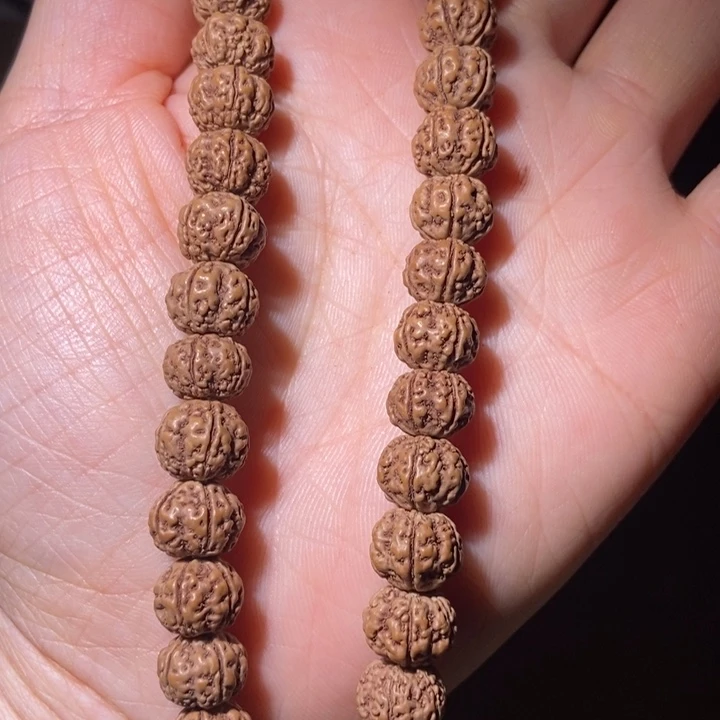 大叶紫檀（黑酸枝木类）～**?手持