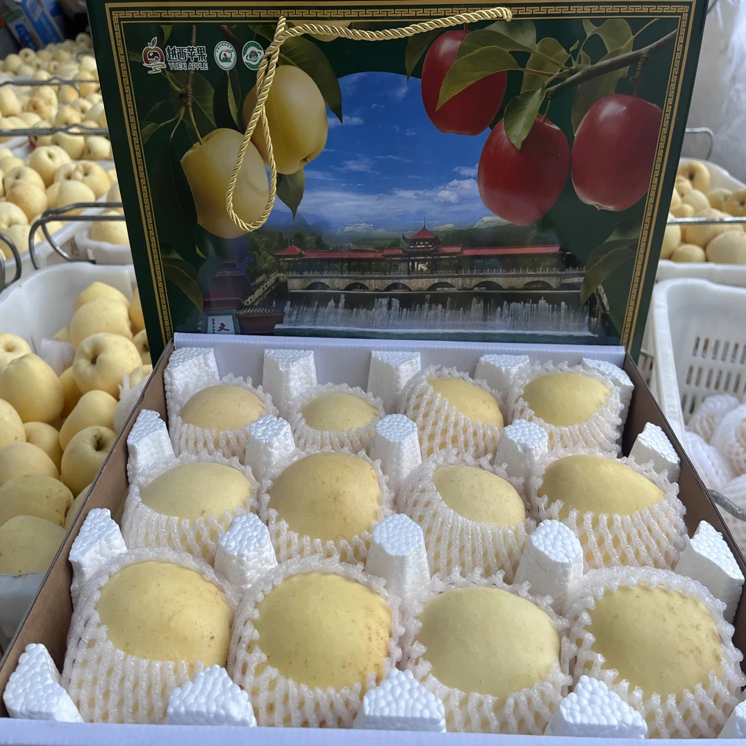 凉山黄金维纳斯苹果脆甜多汁新鲜采摘水果