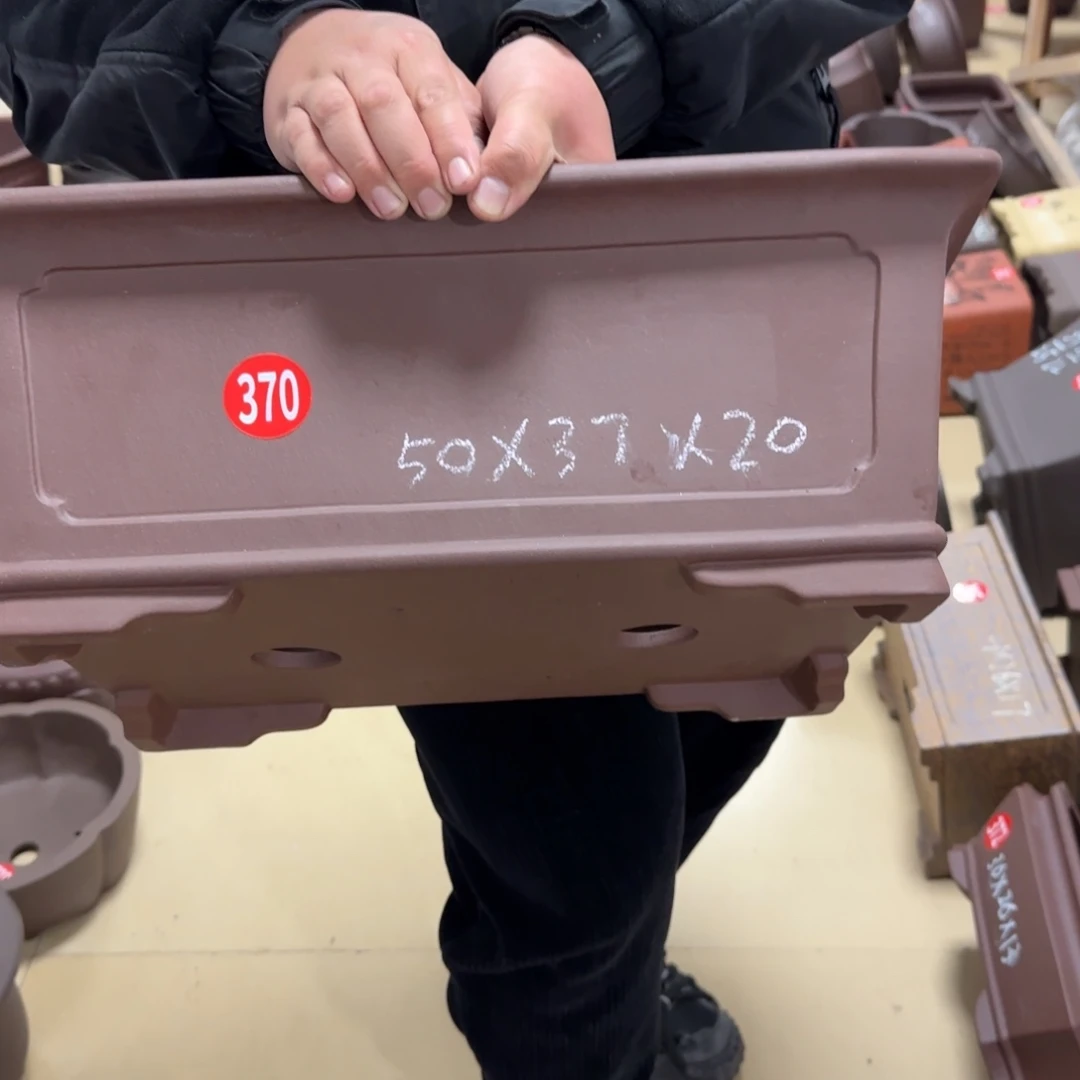 紫砂花盆我呜呜呜呜呜呜