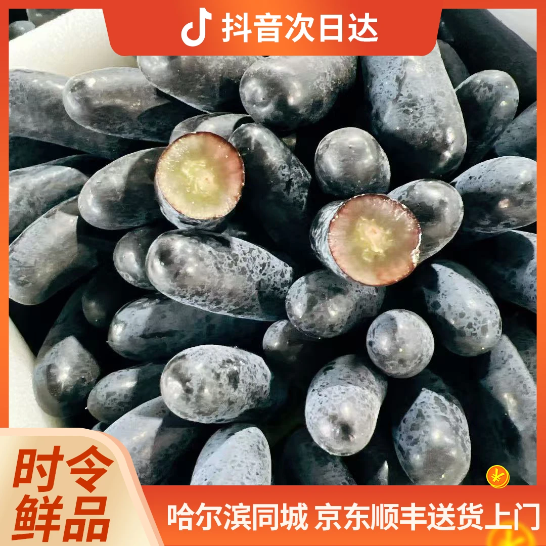 澳洲小树手指提黑提 2斤/箱 提子轻微掉粒（介意慎拍）