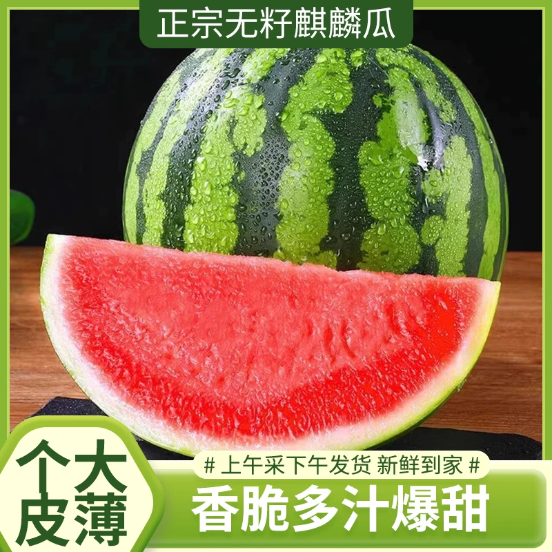 【极速包邮】无籽冰糖麒麟西瓜农家自种 现摘头茬美都 新鲜西瓜水果