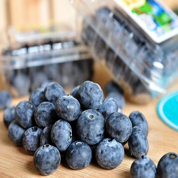 林芝本地蓝莓9.9元一盒，29.7元三盒西藏自治区