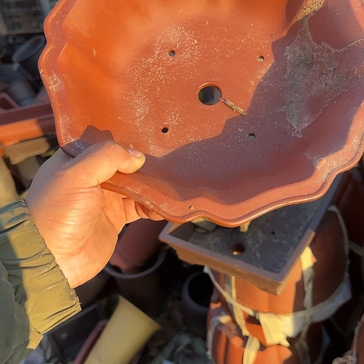 你要吃好了我才给他们打了两天水去