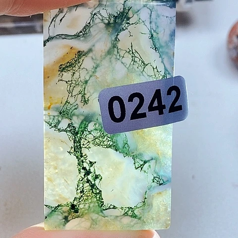 未镶嵌颈饰玛瑙/玉髓占*豆