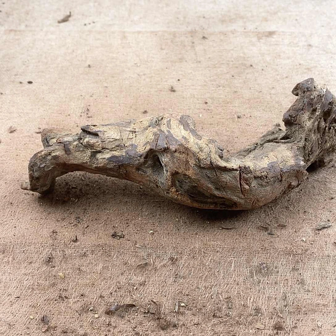 木九*堂黄花梨随形料子