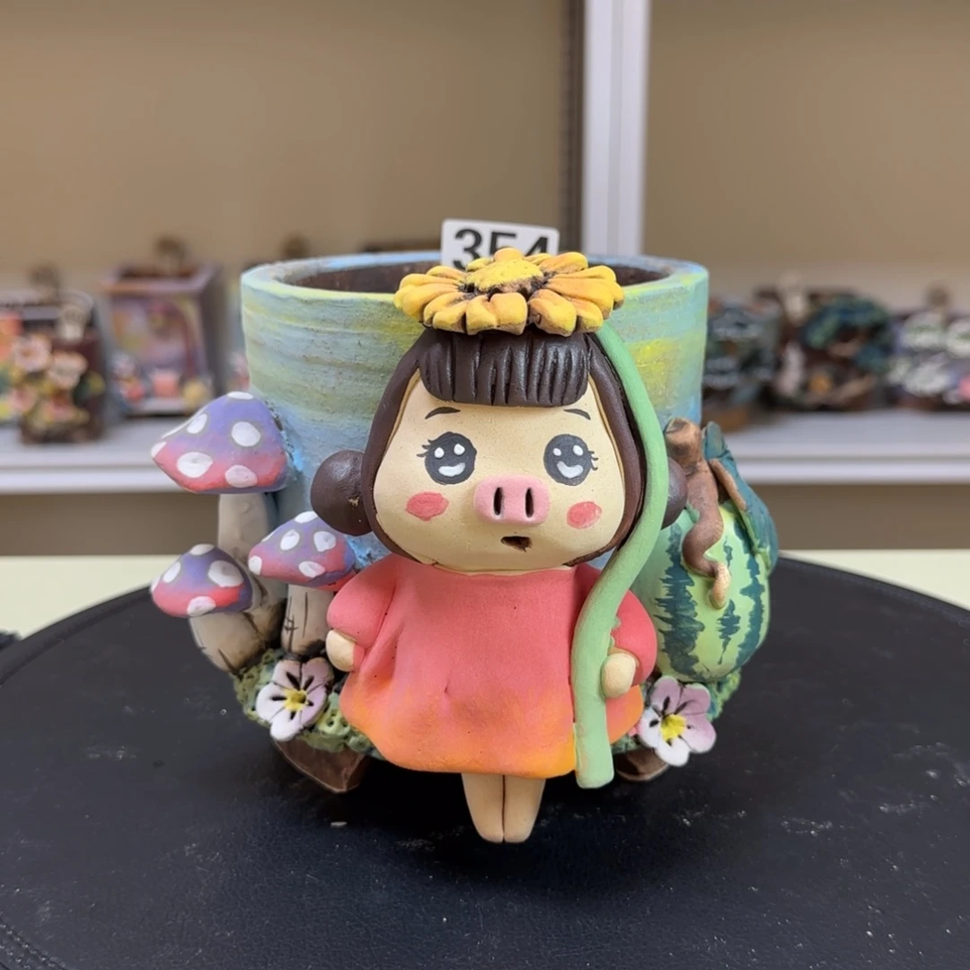 354 【闪购】多肉花盆