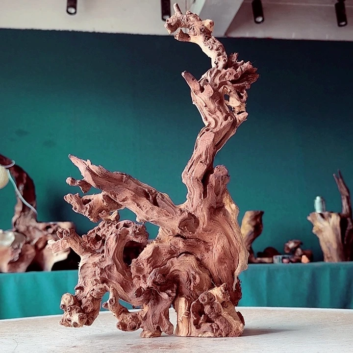 依***然木883 金丝红木羊蹄甲半成品