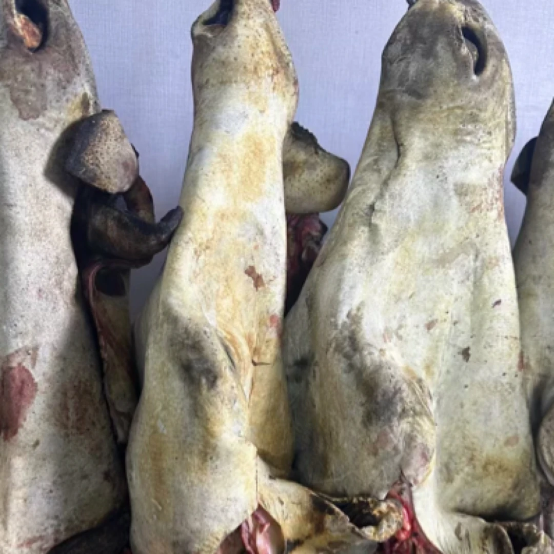 阿坝州高原散养吃草长大牦牛头皮肉顺丰包邮（拍五斤送5斤）