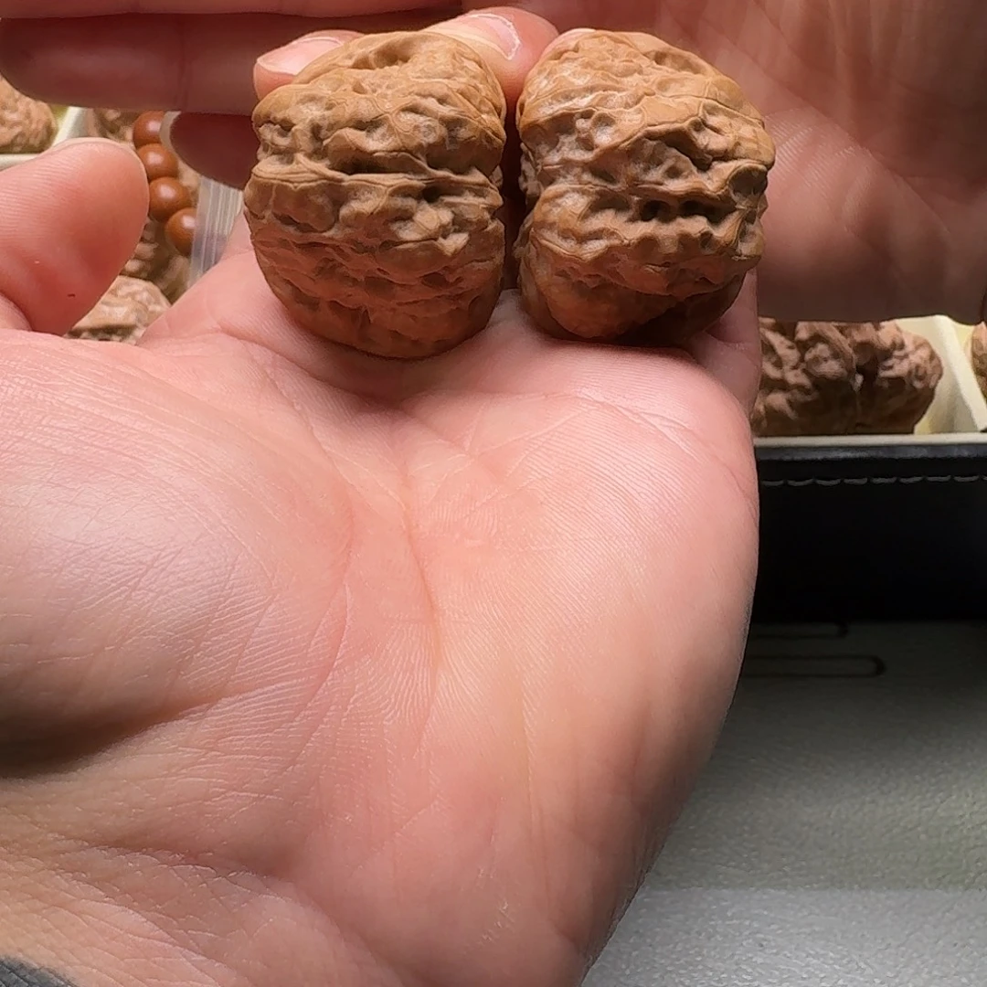 大叶紫檀（黑酸枝木类）