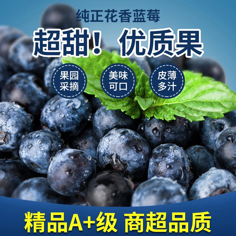 【纯甜花香蓝莓】宝宝都说好吃的润馨精选蓝莓高山蓝莓园区现采现发