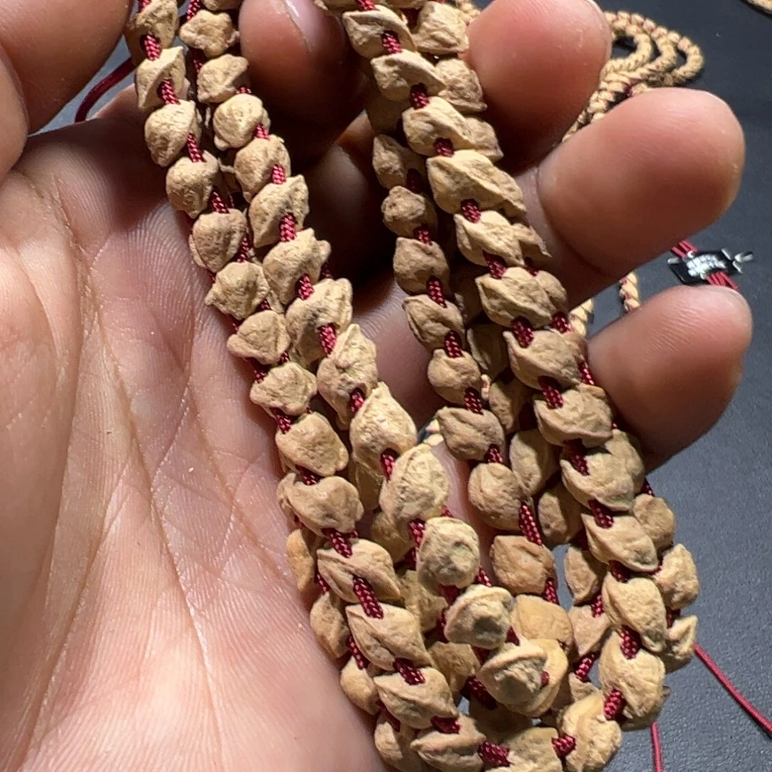 吊坠柏香籽/百香籽九蛇