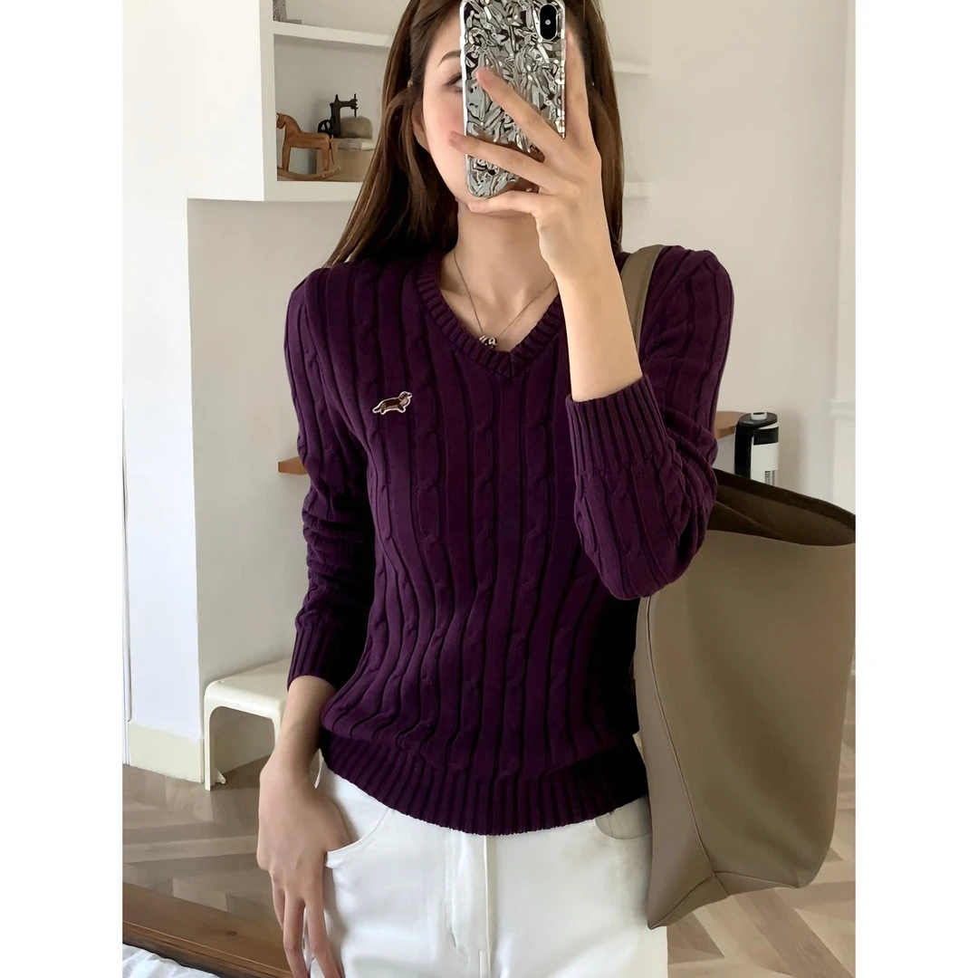 【小狗环游记】加长腊肠狗刺绣V领毛衣女麻花针织上衣高级感 25178