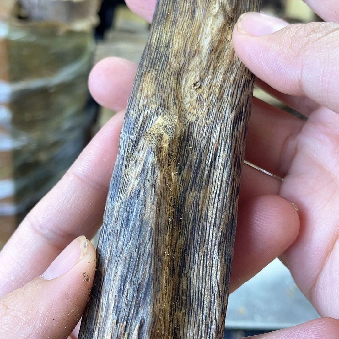 木绿奇楠原材料虫漏22克
