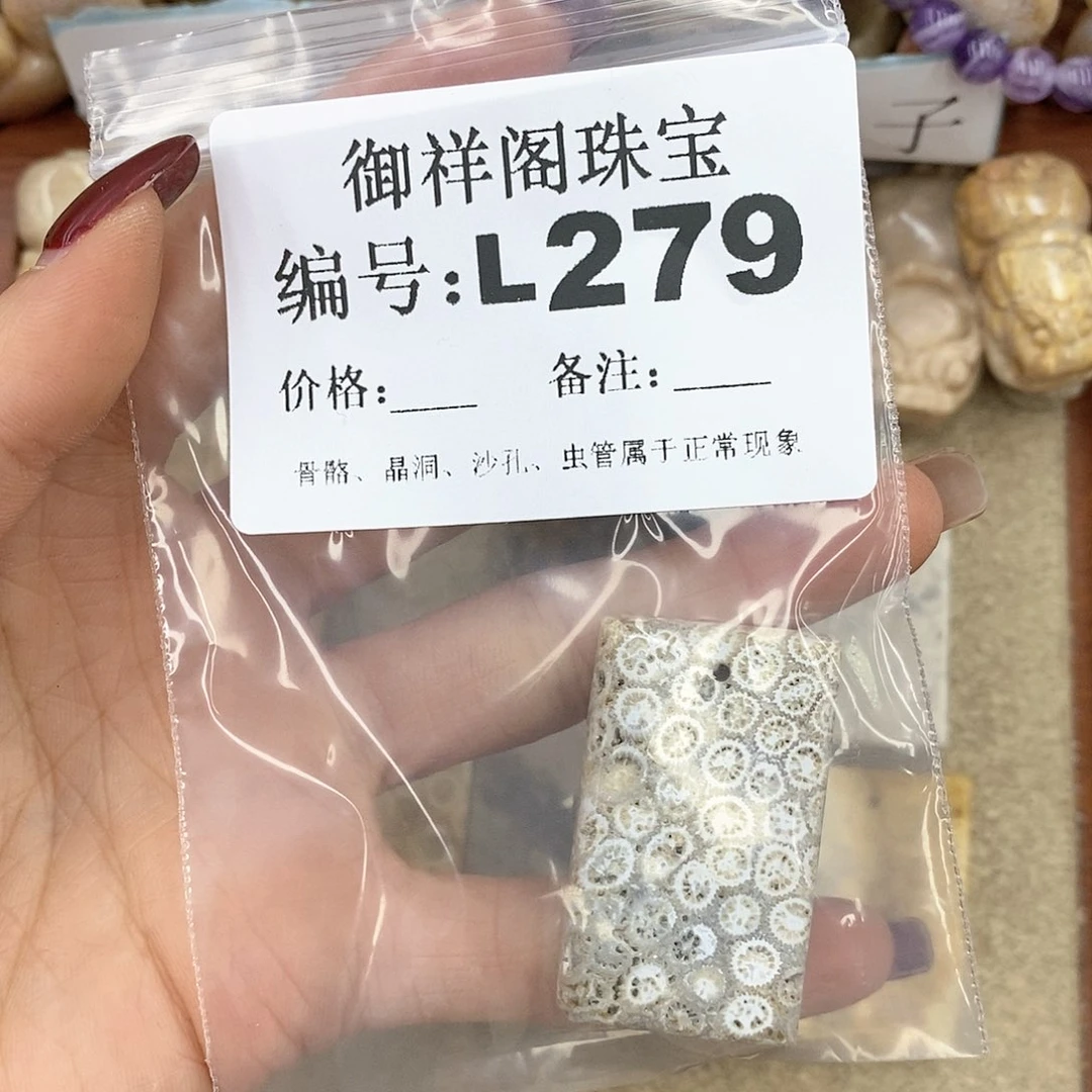 硅化珊瑚（珊瑚玉）n未镶嵌爱****学