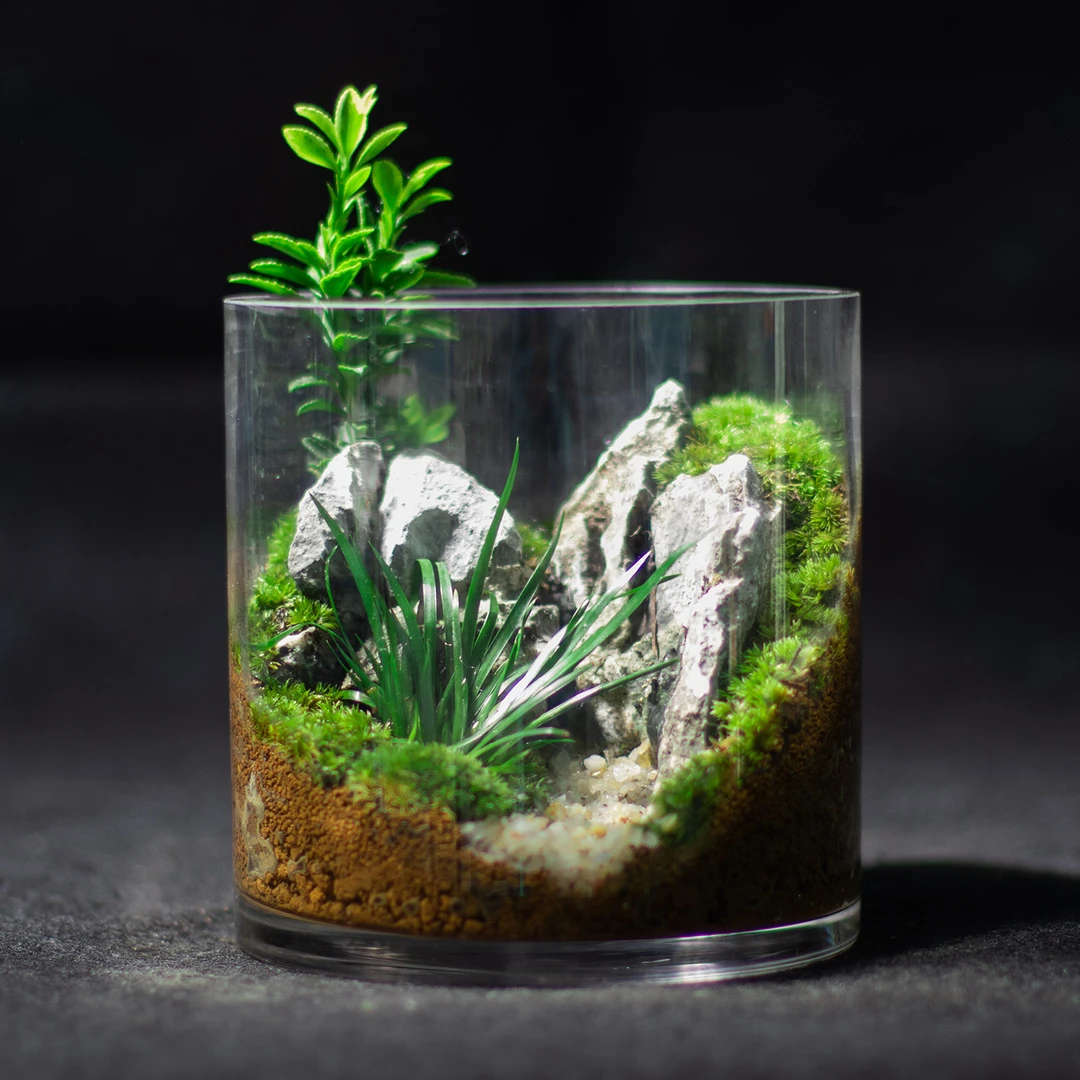 D16【溪之谷】12*13cm苔藓微景观桌面苔藓微景观绿植送礼精品