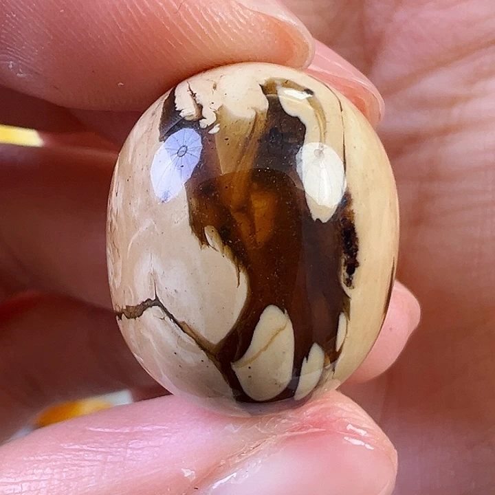 蜜蜡颈饰未镶嵌蜜蜡