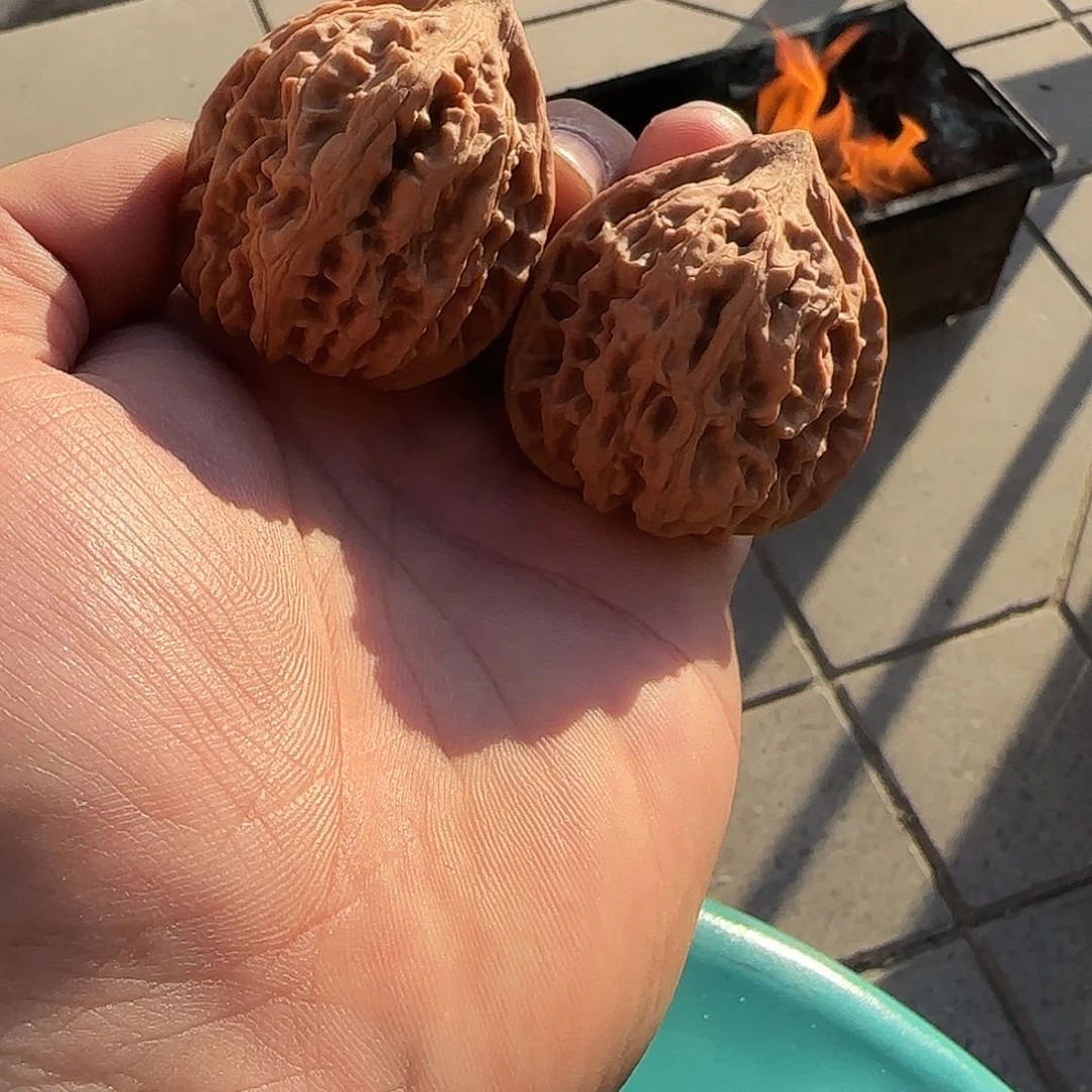 A****了送的11111111