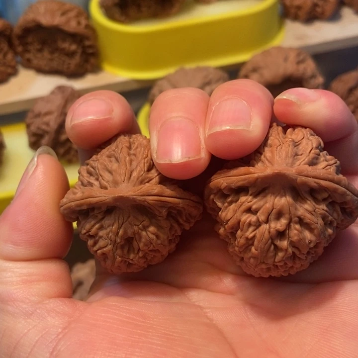 官方网站发布消息