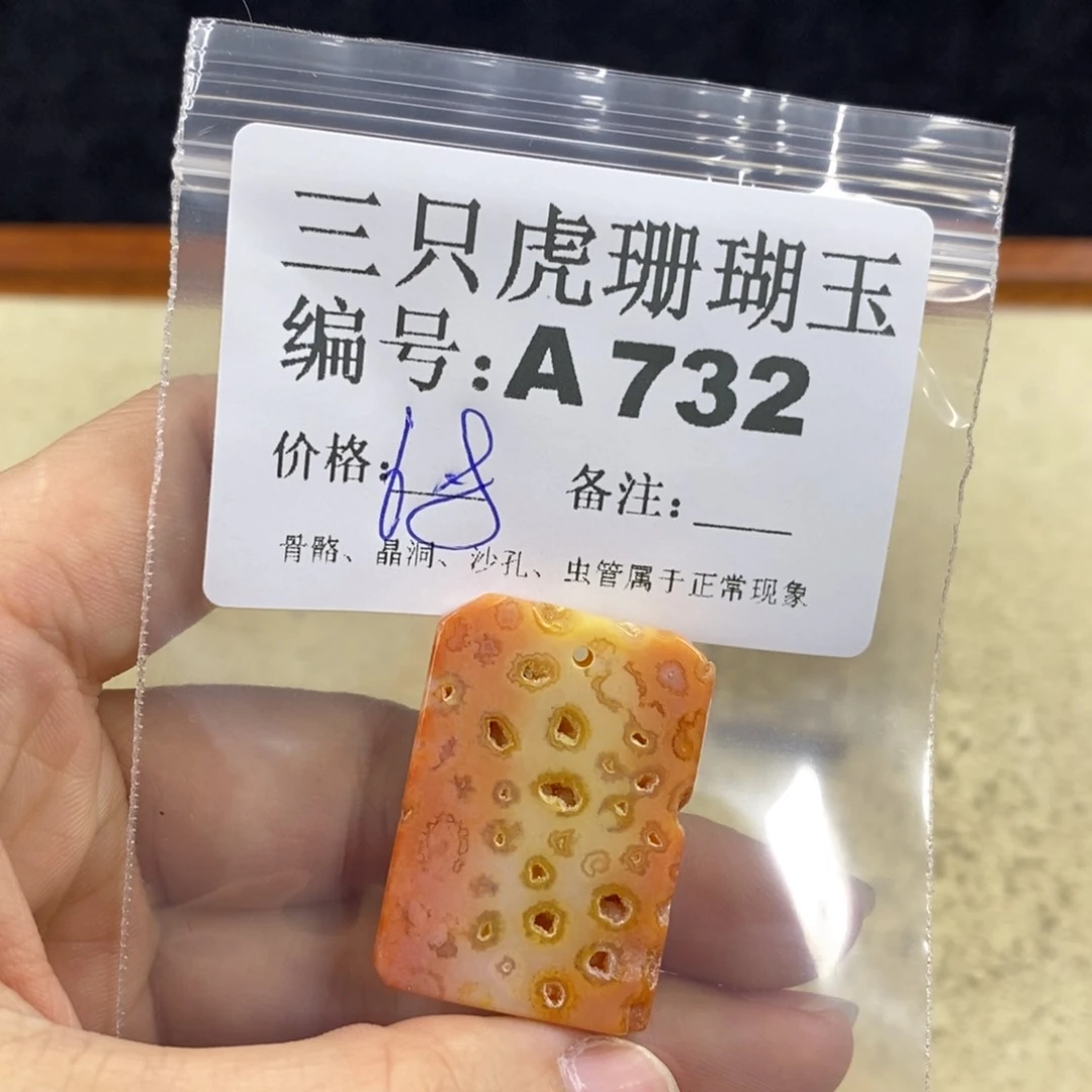 硅化珊瑚（珊瑚玉）1未镶嵌三*