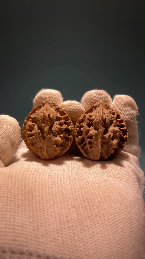 纯野生断齿龙骨鳄鱼背秋子文玩核桃手把件34左右手聊把件收藏