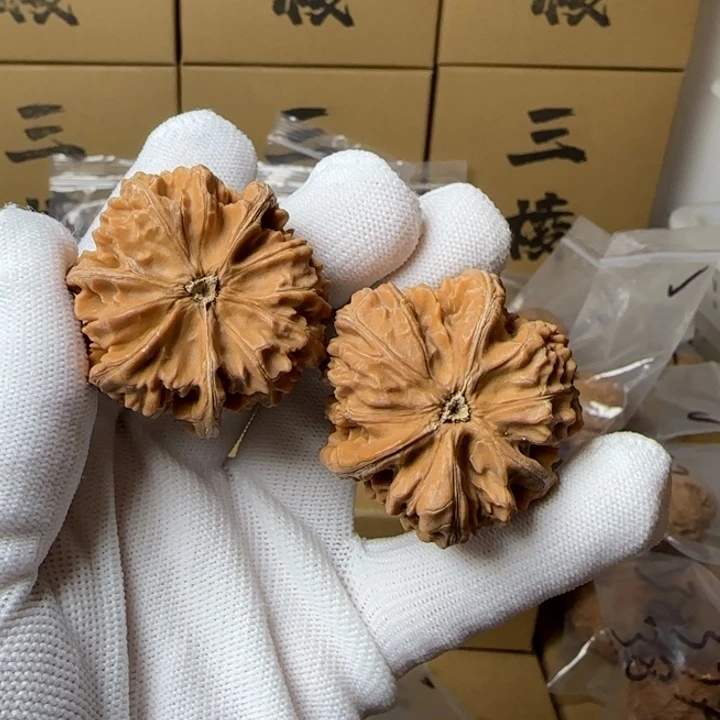 文玩核桃吊坠c**o42尺寸玉龙三棱