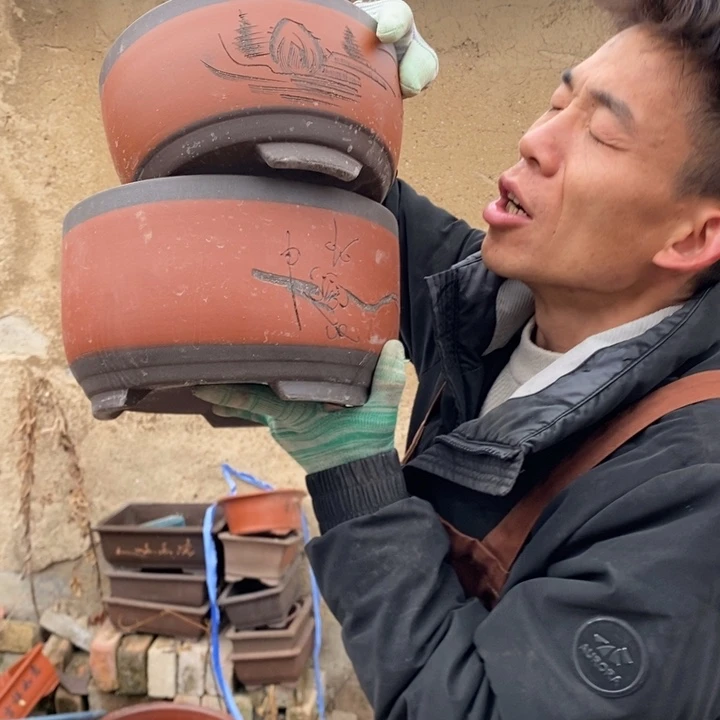 红陶我在想什么时候回来呢