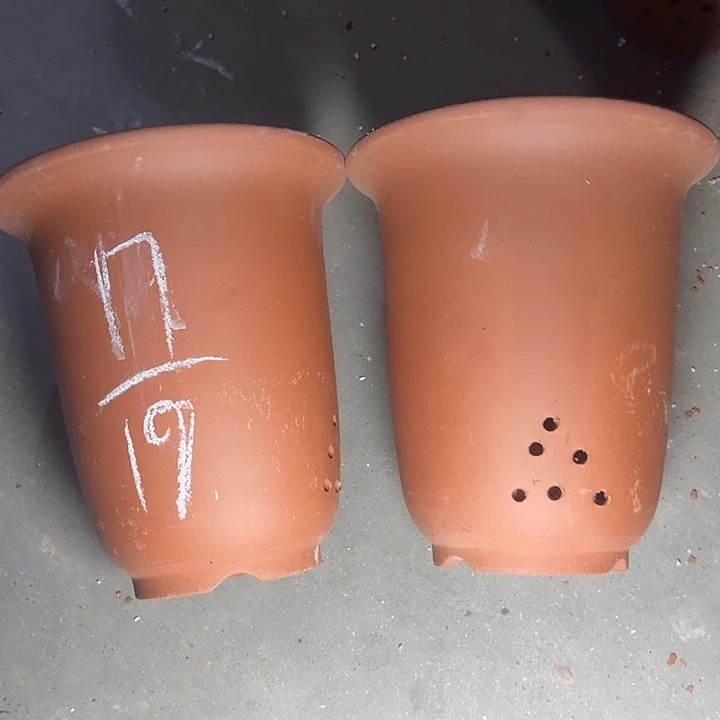 周深周深周深周深