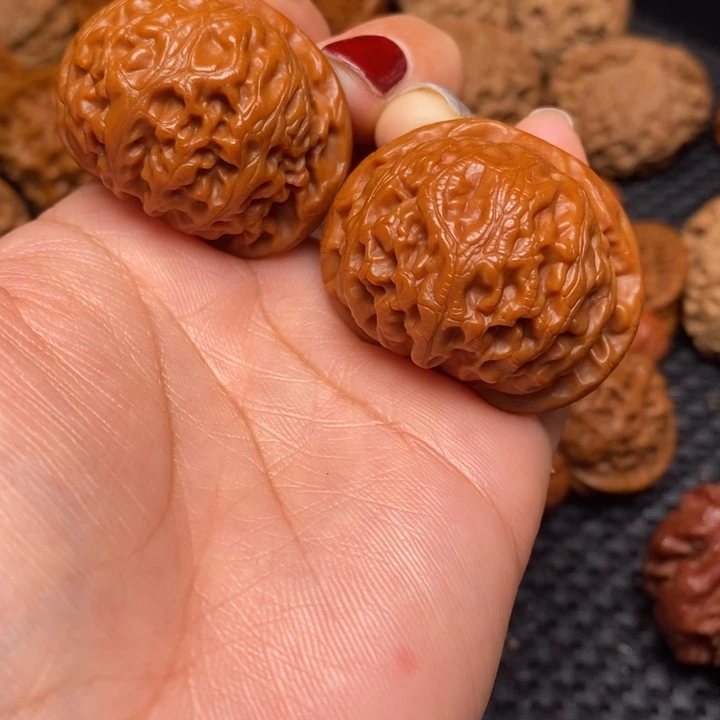 秦岭野生00000038