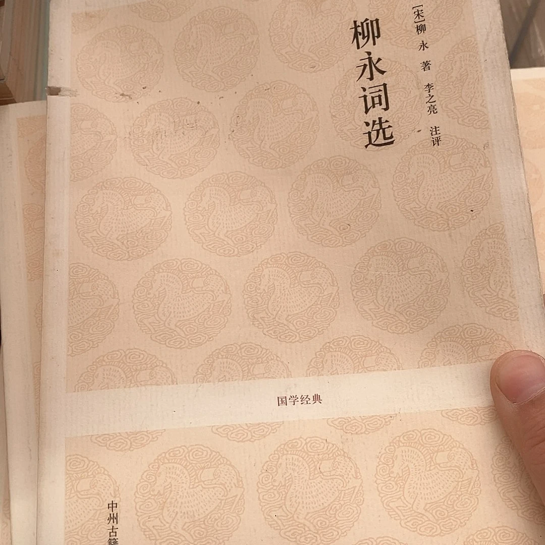 瑕疵锯口   柳永词选……