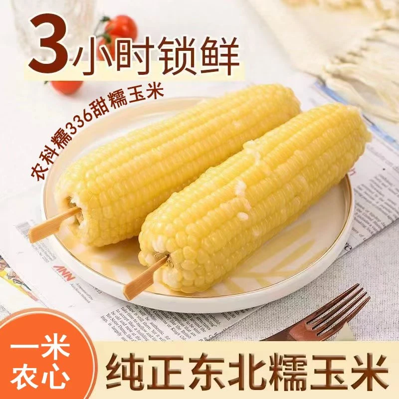 试吃2根 2025年农科糯336东北甜糯玉米到手10根