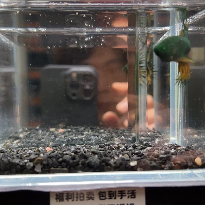 斗鱼竞拍跑单拉黑1日140