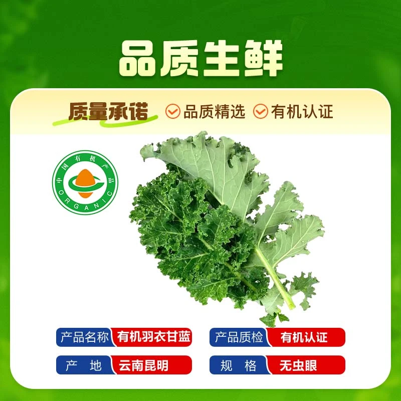 【顺丰包邮】新鲜现摘有机羽衣甘蓝嫩叶榨汁西餐食材可做蔬菜沙拉