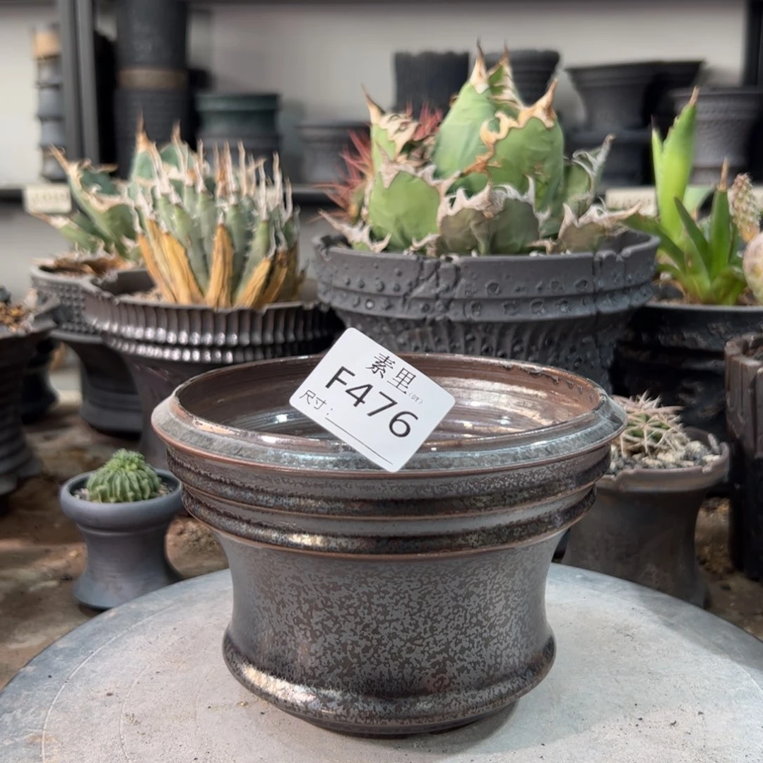 景德镇手工素里内口14.5高11